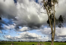 乐鱼:NBA战报:东契奇34分,詹姆斯压哨绝杀,湖人120-119步行者.