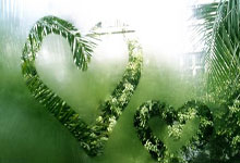 体育频道-中国新闻网.