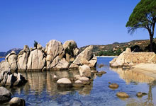 全红婵等五位奥运冠军领衔 中国跳水队出征世界杯.